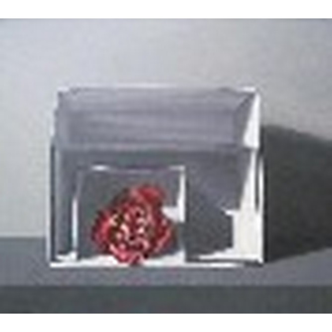 Scatole con peonia